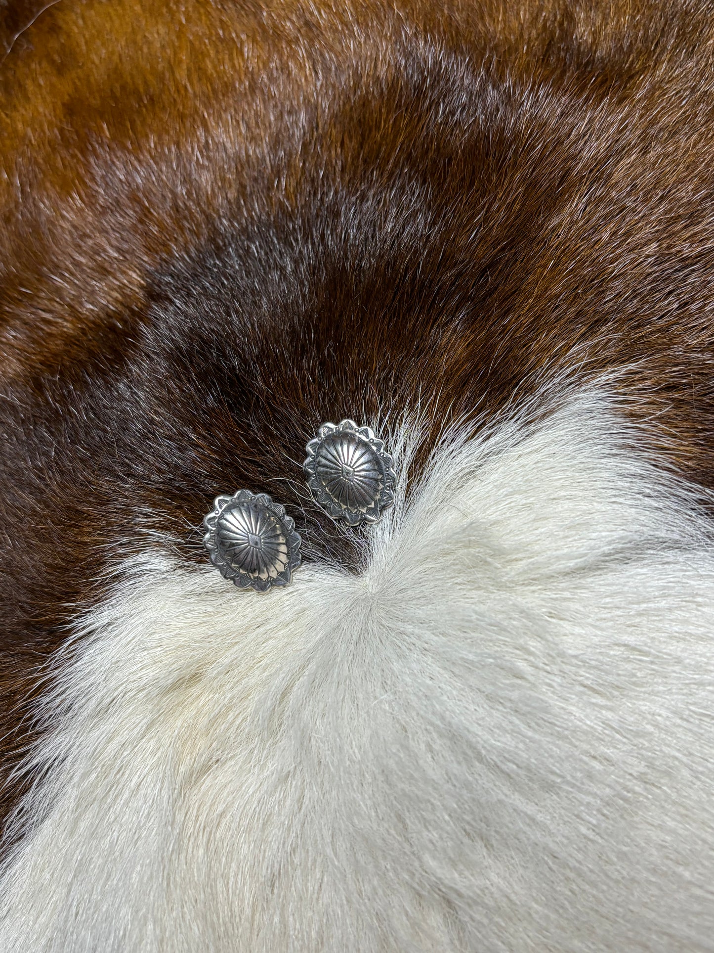Conch Studs