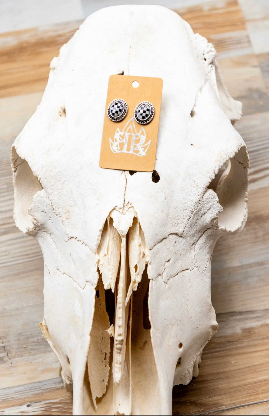 Checkered Oval Studs