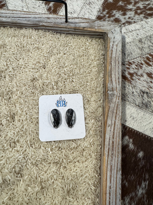 White Buffalo Studs