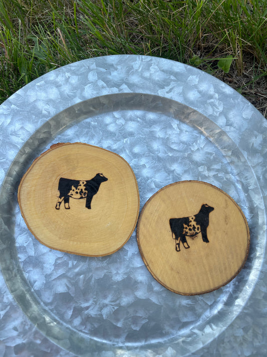 Set of 2 shorthorn coasters